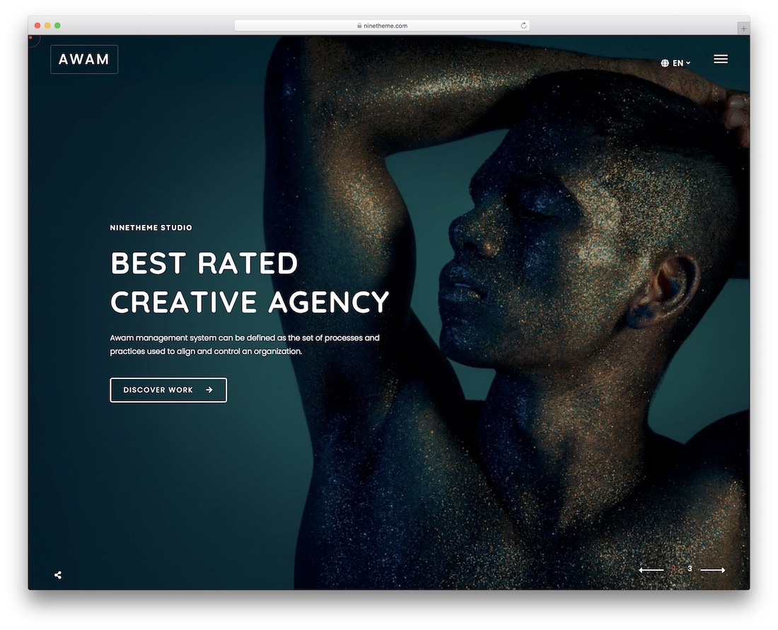 awam parallax wordpress theme