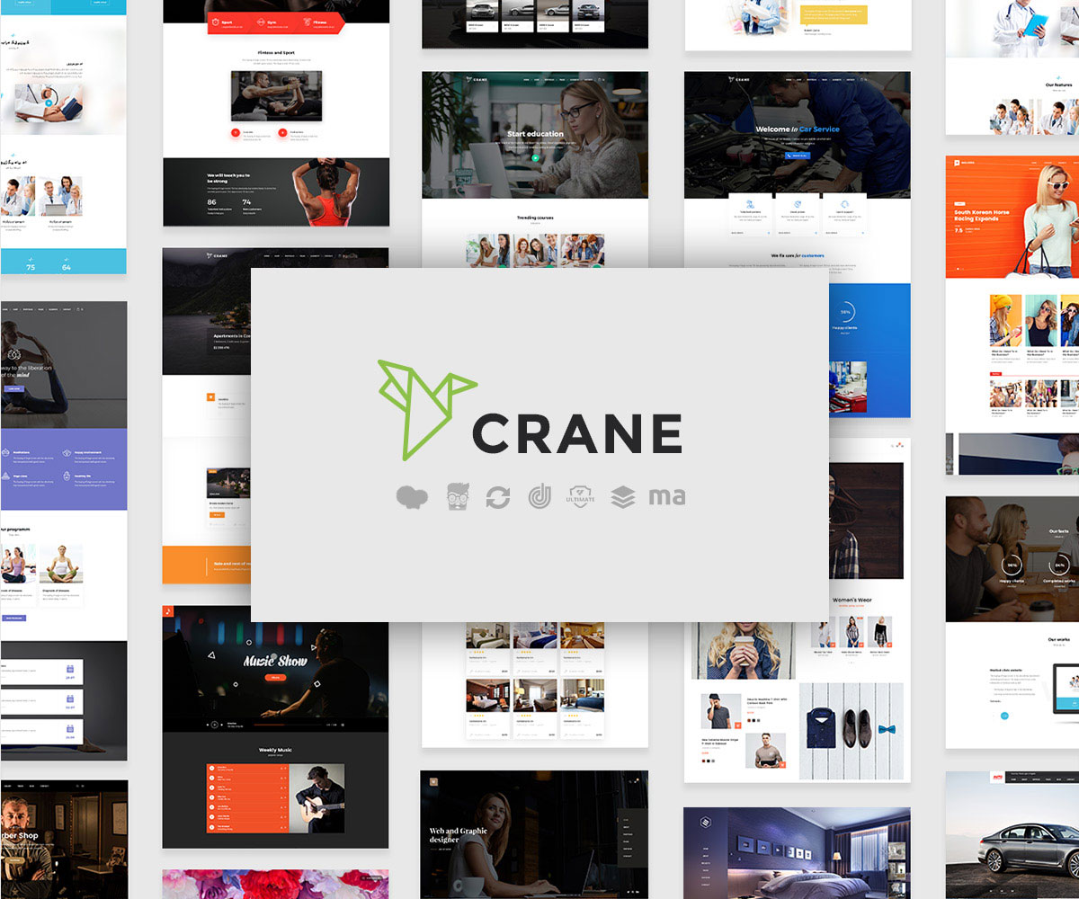 Software company wordpress theme