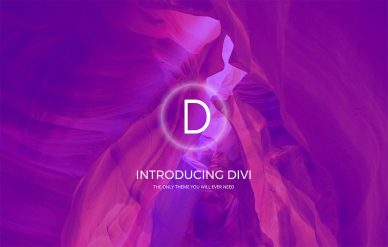 Divi WordPress theme review